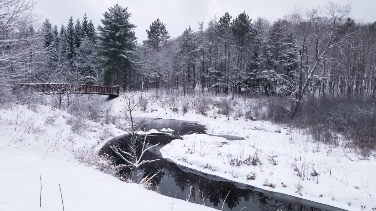 Ruisseau sinueux dans un paysage enneigé, près du Centre des visiteurs du parc de la Gatineau.
